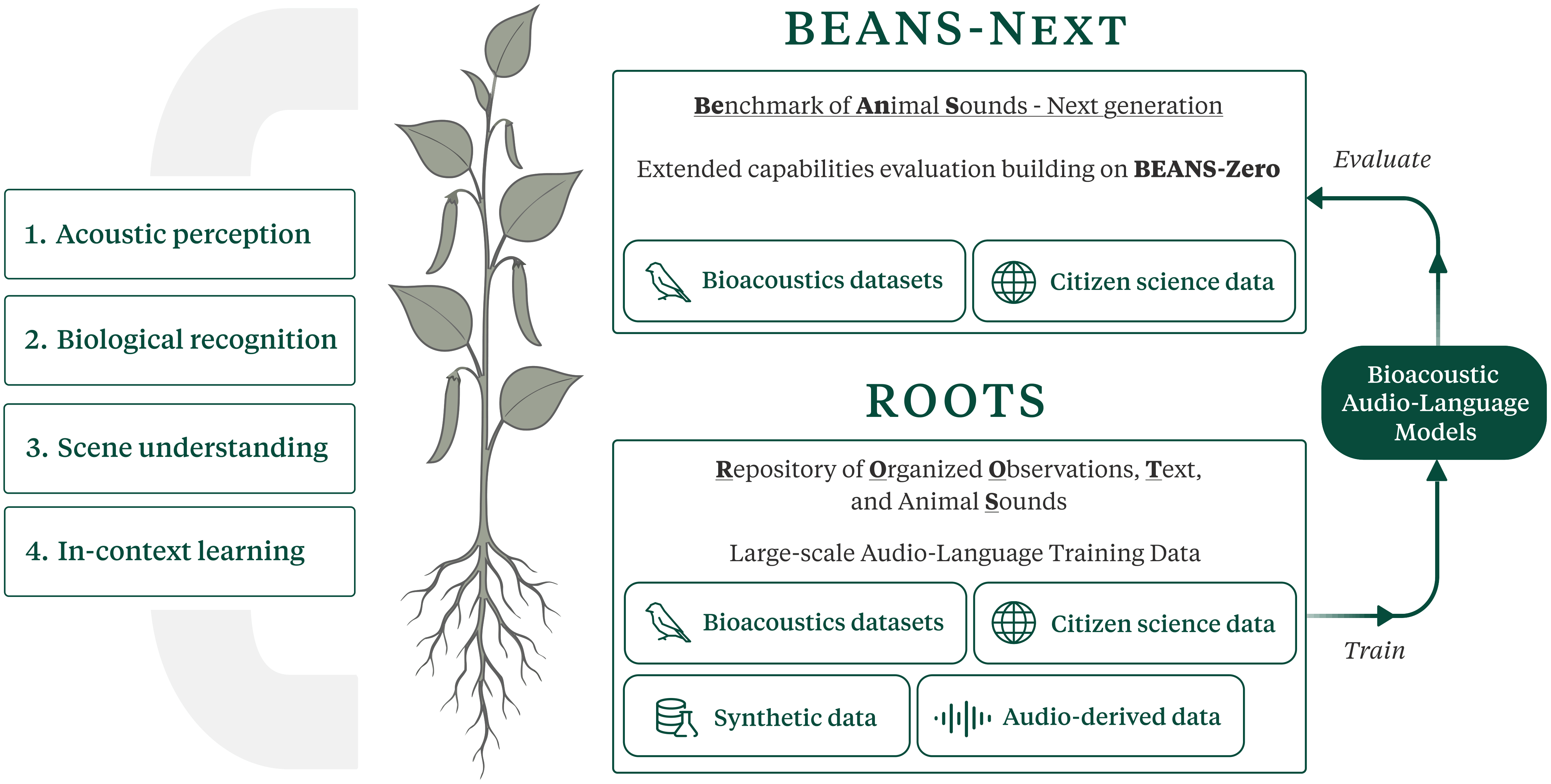 Overview of BEANS-Next and ROOTS.