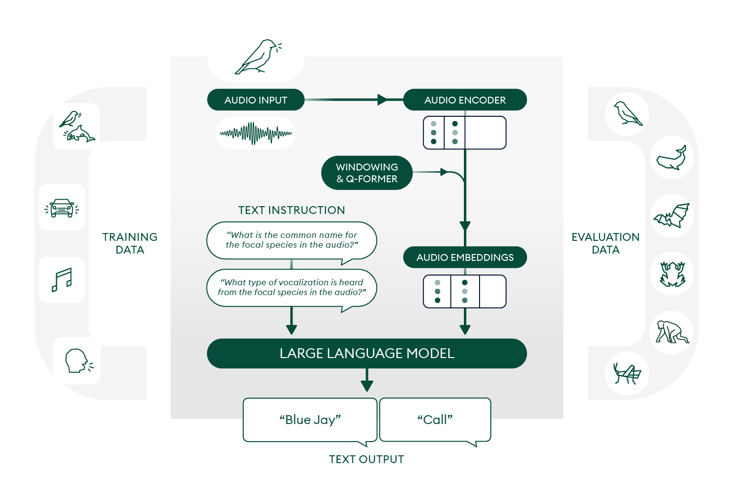 NatureLM-audio architecture diagram